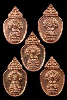 เหรียญนาคปรก ๙๖ปี เนื้อทองแดง(5องค์) หลวงปู่หงษ์ ปี2556