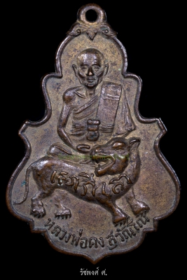 เหรียญใบสาเกนั้งหลังเสือรุ่นแรก หลวงพ่อคง วัดวังสรรพรส ปี2517เนื้อทองแดงกระไหล่ทอง