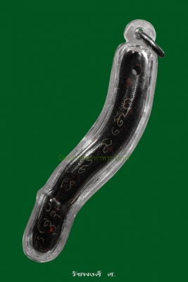 ปลัดขิกกัลปังหาดำ หลวงพ่อคง วัดวังสรรพรส จังหวัดจันทบุรี