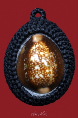 เบี้ยแก้ห่วงเดียวแบบถักเชือกฝังเหรียญเต่าจิ๋วรุ่นแรก พระอาจารย์ซ้ง วัดประดู่ ตลิ่งชัน กรุงเทพฯ 